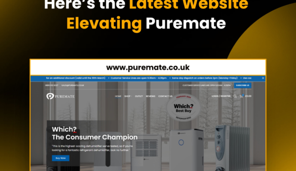 WordPress website restoration