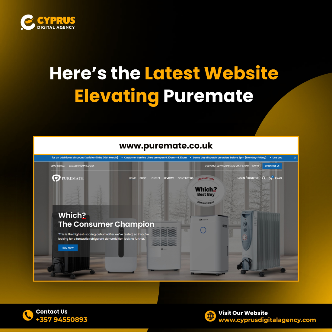 WordPress website restoration