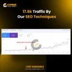 How We Grew a Romanian eCommerce Website to 17.6K Traffic